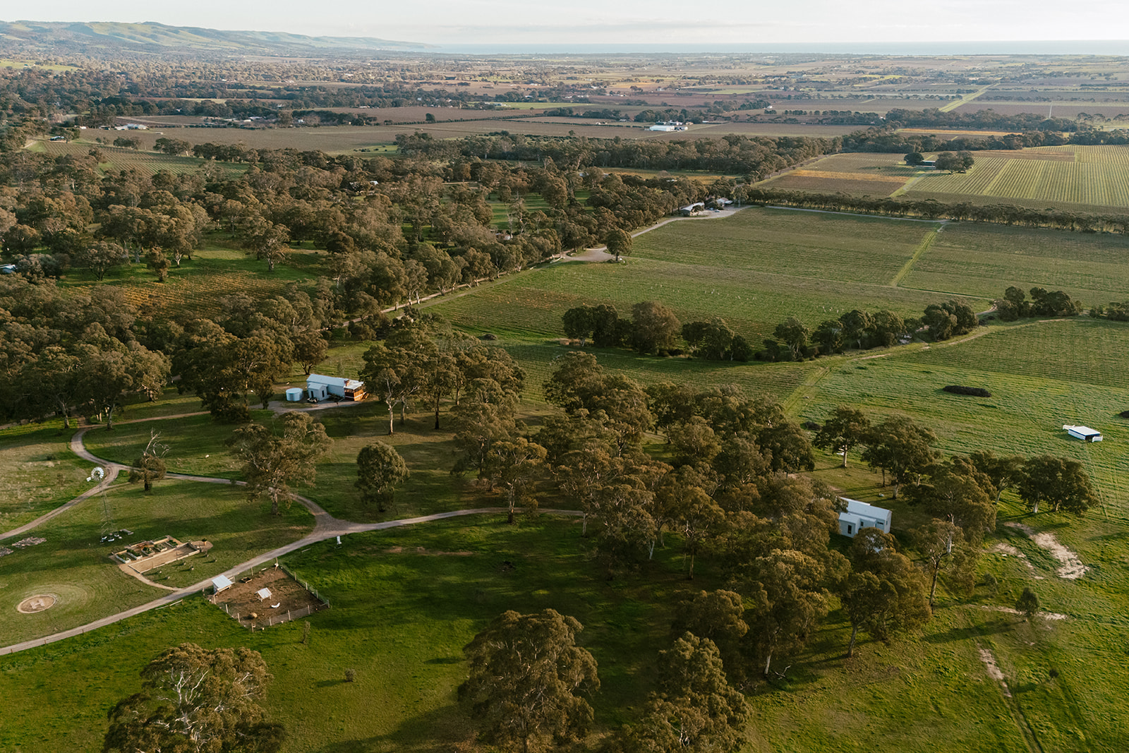 McLaren Vale from above