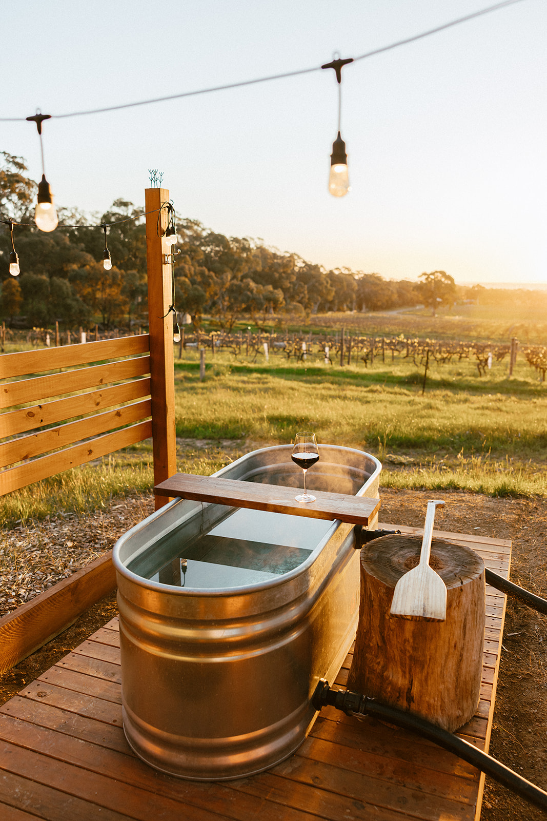 The Vineyard, photograph 3