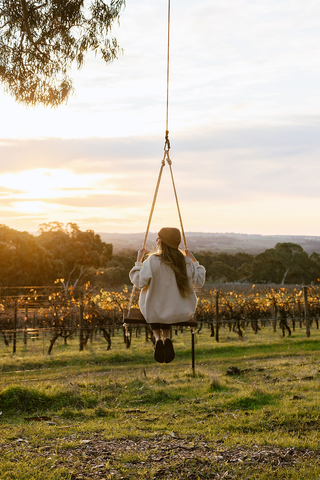 The swing on the farm